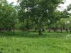 50 Sunny Vale photo